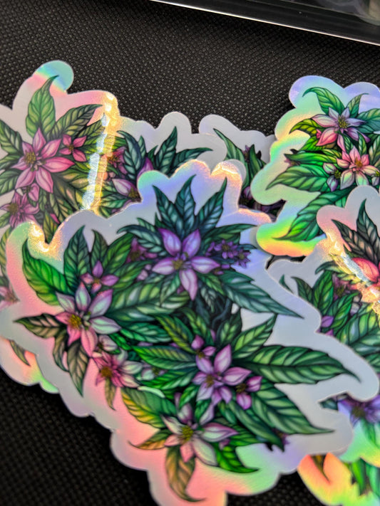 Vinyl Stickers | Durable  Decals | Cute Aesthetic Stickers for Water Bottles, Laptops, Notebooks & More